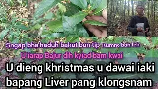 Bajur dih kyiad shet bad dih da une dawai kan sait phar,bad bapang liver pang klongsnam bad kiwei de