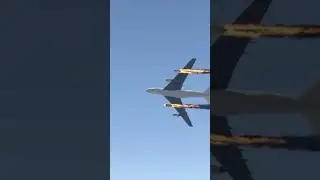 Cow Accidently Came During Airplane Landing