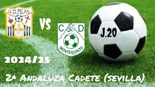 2ª Andaluza Cadete (Sevilla) jornada 20 u.d. pilas vs c.d. montequinto