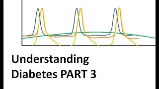 Understanding Diabetes part 3 of 3: Insulin regimens and practical management (TDD, ISF, ICR)