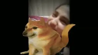 Yaar Tissue Lelo yrr | यार टिशू लेलो यार Pagal Tissue lelo | पागल टिशू लेलो Viral Video on Internet