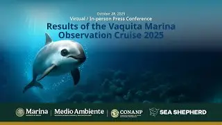 Results of the Vaquita Marina Observation Cruise 2025 | CONANP