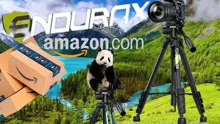 Budget tripod  review ENDURAX under $100