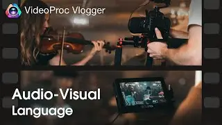 What Is Visual Language in Film & Definition and Examples