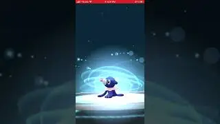 Community Day Shiny Popplio Encounter #3 plus Evolution into Shiny Primarina in Pok&eacute;mon Go