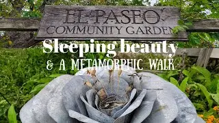 A walk through nature for some soul healing