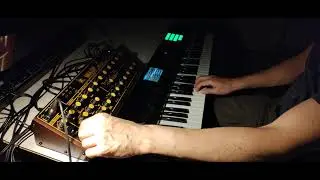 Behringer Wasp pt 3: Intervalls, detuning, pads, leads, bass with effects