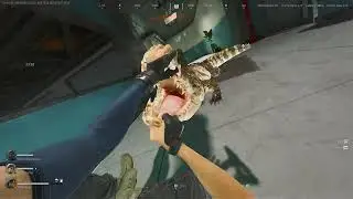 Найшвидші 5 мільйонів або як ДіД на Luna ультує #gaming      #deltaforcegame    #deltaforce