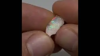 Magical Australian Lambina Opal Cutting Material #lambina #cuttingmaterial #opalcutting #opal #raw