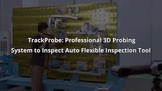 TrackProbe: Professional 3D Probing System to Inspect Auto Flexible Inspection Tool