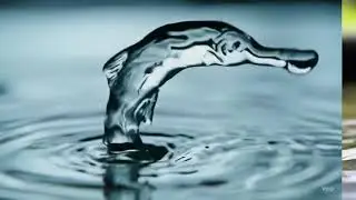 Water Droplet Magic: Mesmerizing Fluid Transformations into Animals & Nature - AI Prompts