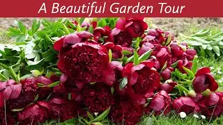 A Beautiful Garden Tour on a rainy spring day at Crowley House.