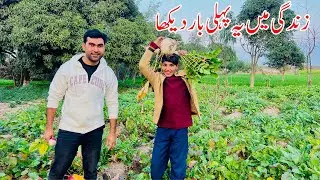Zindagi mn ye Pahli bar Daykha | Village life in Pakistan | Shoaib Maharzada