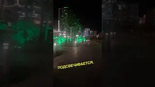Вечерняя красота парка Марии Леха Качинских в Батуми