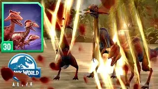 FIGHT vs MAX LEVEL 30 COMPSOCAULUS (JURASSIC WORLD ALIVE)