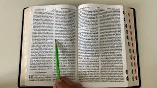 1 Chronicles 18 | 1 Kronikil 18