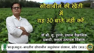 ||सोयाबीन की खेती में यह 30 बातें नहीं करें  IISR INDORE