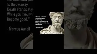Most entrepreneurs wait for the perfect moment  Marcus Aurelius reminds us  there isn&rsquo;t one.