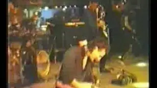 Synthesis - Asylum 