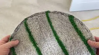 Oxy-Dry cleaning the final room on the freshly steam cleaned carpet with SETT/ULM
