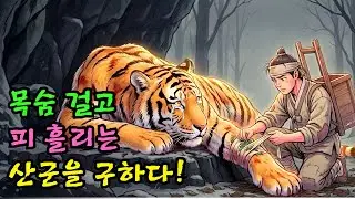 피 흘리는 호랑이를 구해줬더니 다음날 아침 마당에 생긴 소름 돋는 반전 ㅣ옛날이야기 ㅣ민담 ㅣ오디오북ㅣ전설ㅣ설화 ㅣ야담