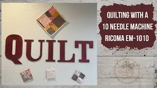 Watch Me Quilt With My 10 Needle Machine| RICOMA EM-1010