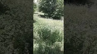 Sevgidə İfrata Varanlar!