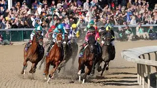 Hidden Acres Rescue for Thoroughbreds (HART) Creates a Safe Place for Retired Race Horses in Brevard