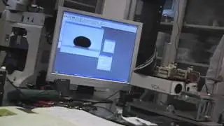 Liquids Combine with Light