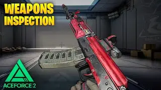 Ace Force 2 Weapons Inspection