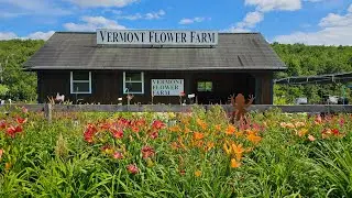 Vermont Flower Farm for Sale - Marshfield, VT - Active as of October 2, 2025