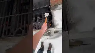 Is This BBQ Brush Actually WORTH It? #ad