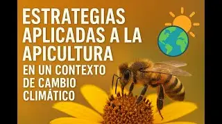 🌍 Estrategias Apícolas Frente al Cambio Climático: Adaptarse para Sobrevivir y Prosperar