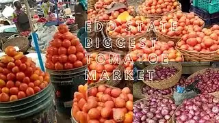 the biggest tomatoes market in Benin city Nigeria ( popular tomatoe market in upper mission in Edo)