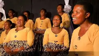 Ndege wa angani
