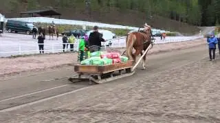 Mikko Uusimäki ja Luomutar vetokokeessa