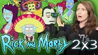 Реакция на телешоу &laquo;Рик и Морти 2x3&raquo; (ЭТО ШОУ &mdash; ЧИСТОЕ БЕЗУМИЕ!!!)