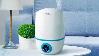 5 Best Humidifiers with Essential Oil 2024