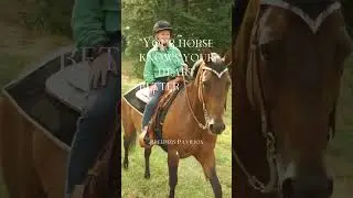 A horse's loyalty...