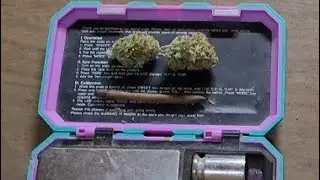 How To Roll A 3g Infused Backwood (Hash infusion 1.24g)