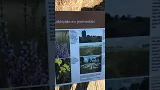 knuppelpad Strabrechtse heide