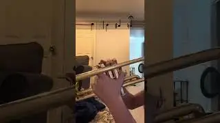 Womp Womp| Wa Wa Wa Waa Trumpet 🎺 #trumpet #music #playalong