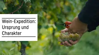 Weinwissen: Herkunft & Charakter edler Weine | Wein-Expedition mit Liebherr x Falstaff