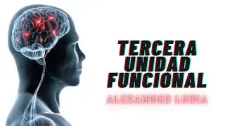 Tercera Unidad Funcional de Luria: modelo de organización cerebral