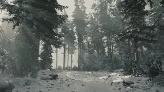 Lago Di Braies, Italy - Winter - Relaxing Walk & Ambience - Lushfoil Photography Sim