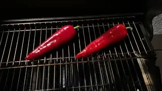 Grillpaprika Leckere Beilage schnell einfach lecker grillen