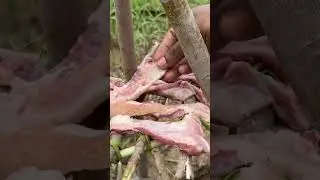 Traditional method of cooking wild boar meat