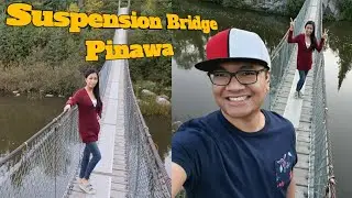 At Pinawa Suspension Bridge | Pinawa Adventure Part 2 | Leozel's Channel