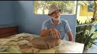 Fruticultura com Sergio Semerdjian