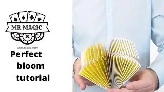 bloom cardistry tutorial/giveaway winner in description
